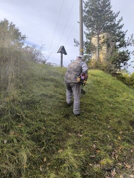 Delovna akcija 25.10.2025,4